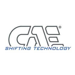 cae